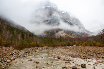 river in natural environment