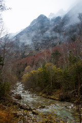river in natural environment