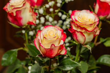 Fototapeta premium bouquet of pink roses 