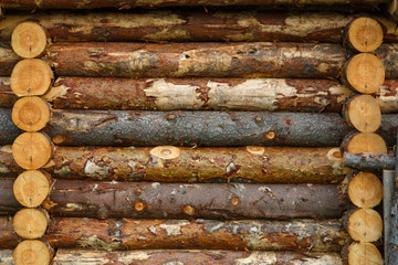 Fragment of wooden fortress from raw logs. Texture.