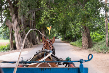 Fototapeta na wymiar Caballo con carroza, Myanmar