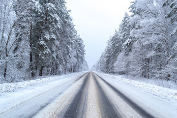 winter day in the forest, trees covered with snow, the sky is visible, snow-covered asphalt road goes deep into the forest