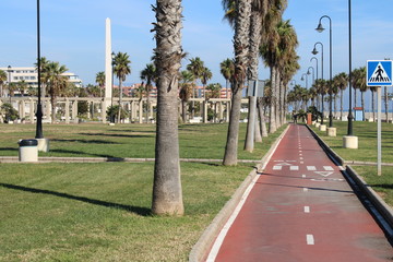 Fototapeta premium Boardwalk with green spaces