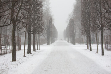Spaziergänger in einsamer Allee in französischem Garten im Winter
