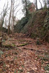 Freiburg Hausberg - Waldspaziergang in der Natur 