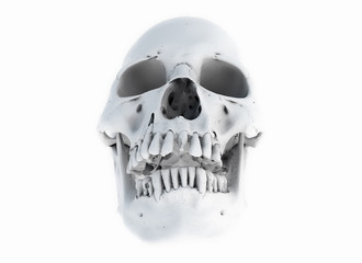 Human skull on White Background. The concept of death, horror. A symbol of spooky Halloween. 3d rendering illustration.Scan SCSU VizLab https://www.thingiverse.com/scsuvizlab/about - (CC Attribution)