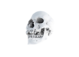 Human skull on White Background. The concept of death, horror. A symbol of spooky Halloween. 3d rendering illustration.Scan SCSU VizLab https://www.thingiverse.com/scsuvizlab/about - (CC Attribution)