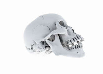 Human skull on White Background. The concept of death, horror. A symbol of spooky Halloween. 3d rendering illustration.Scan SCSU VizLab https://www.thingiverse.com/scsuvizlab/about - (CC Attribution)