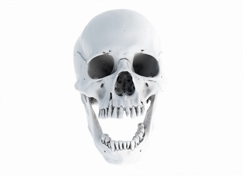 Human skull on White Background. The concept of death, horror. A symbol of spooky Halloween. 3d rendering illustration.Scan SCSU VizLab https://www.thingiverse.com/scsuvizlab/about - (CC Attribution)