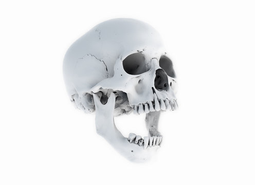 Human skull on White Background. The concept of death, horror. A symbol of spooky Halloween. 3d rendering illustration.Scan SCSU VizLab https://www.thingiverse.com/scsuvizlab/about - (CC Attribution)