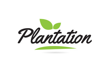 green leaf Plantation hand written word text for typography logo design