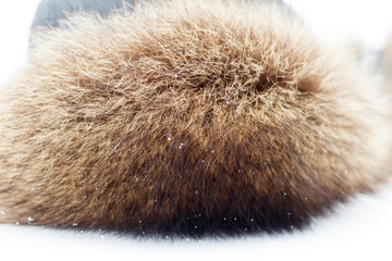 Fur hat for winter for men, on natural snow. there is toning and close-up