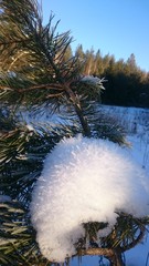 Winter in Ural 26