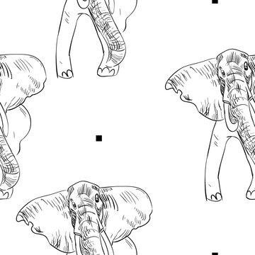 Elephant vector seamless pattern. 
