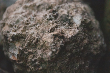 Rocky Surface