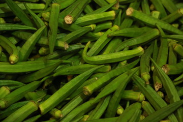 Bunch of Okra