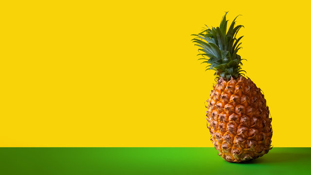 Template for packaging or designer blank banner for pineapple advertising. Ripe sweet exotic fruit on green and yellow background. Copy space. Clipart for design.