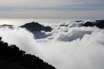 Pico Ruivo Madeira Portugal