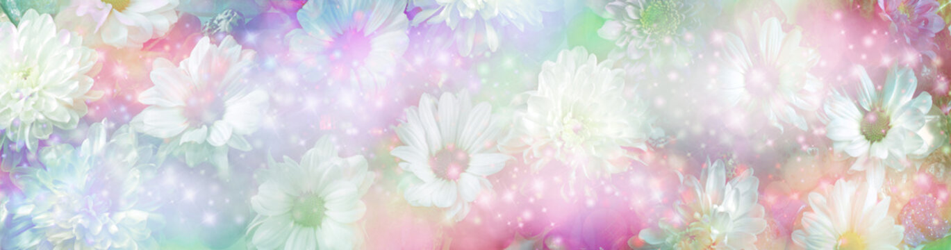 Fototapeta Ethereal daisies and gemstones background banner - multi coloured wide banner of bokeh effect random daisy flower heads scattered around tumbled healing gemstones   