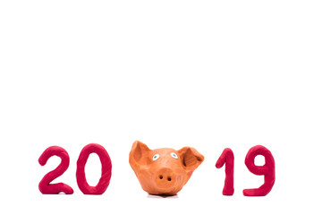 Symbol of Year 2019. Pig made from Play Clay.