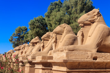 Alley of sphinxes at Karnak Temple Complex in Luxor, Egypt