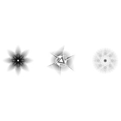 flower 3d geometry of nature stars and flakes