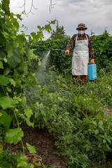 Male farmer with hat, glasses, respirator, apron, protective clothing watering grapes with professional sprayer. Fighting pests in garden. Blue reservoir with electric sprayer. Poison for insects