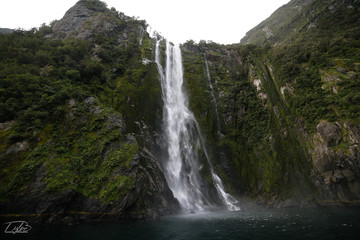 Sterling Falls Milford Sound, NZ