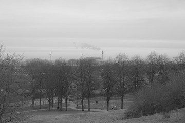 Obraz na płótnie Canvas foggy winter morning in the park