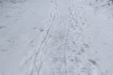 human footprints and sleet traces from the sleigh