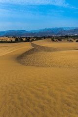 Maspalomas sand dunes