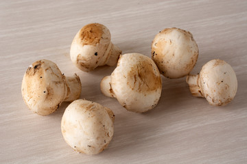 Paris champignon mushrooms