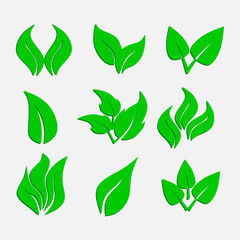 set of green leaves, ecological icons, stickers, abstract nature