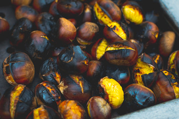 Roasted cones on baking tray ready to be served
