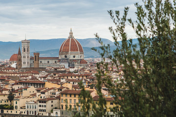 Fototapeta na wymiar Florence, Tuscany, Italy, Europe.