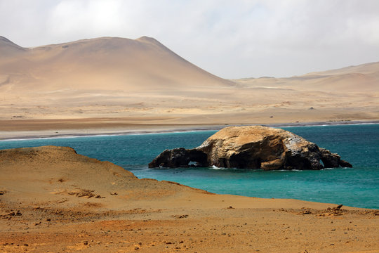 Landscape in Peru, wildlife in Latin america. Paracas reserve between desert and ocean