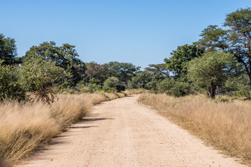 chemin du Kruger National Park
