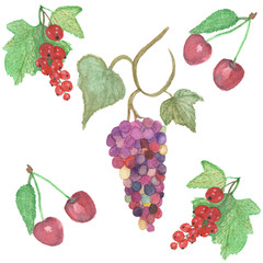 Watercolor berry pattern, set with green leaves and cherry berries, red currant and multi-colored grape brush on branches isolated on white background, seamless berry pattern for beautiful design.
