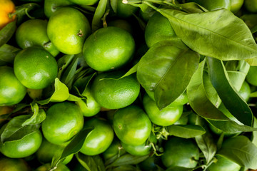 Green Mandarins. Unripe green oranges