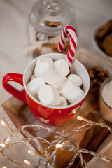 A cup of hot cocoa with marshmallows, cookies, Christmas candy, candies, Christmas lights. Christmas mood. The decor. Holidays. New Year. Cozy.