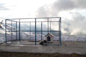 Dog kennel in the mountain