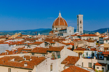 Obraz premium Florence Cathedral and Giotto's Bell Tower under blue sky, over houses of the historical center of Florence, Italy