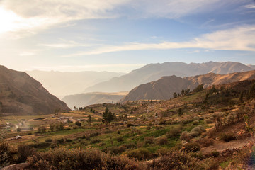 Landscape in Peru, wildlife in Latin america