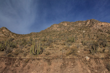 Landscape in Peru, wildlife in Latin america