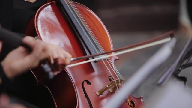 Musician playing violin outdoors, hands close up. Wedding music concept. Violin concert.