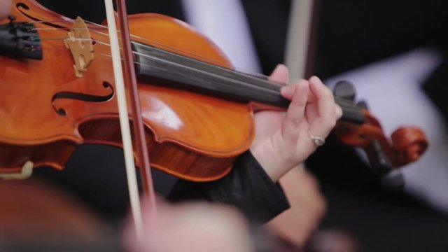 Musician playing violin outdoors, hand close up. Wedding music concept. Violin concert. 