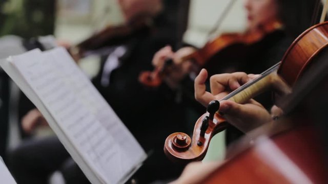 Violin concert. Musician playing violin outdoors. Violinist play music for the wedding. Violin under the open sky. Wedding music concept