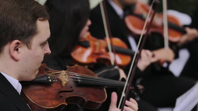 Violin concert. Musician playing violin outdoors. Violinist play music for the wedding. Violin under the open sky. Wedding music concept