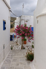 Fototapeta na wymiar Ruelle de Lefkes, ile de Paros, Cyclades, Grèce