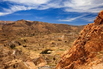 Landscape in Peru, wildlife in Latin america